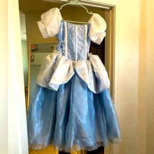 Custom Cinderella Dress